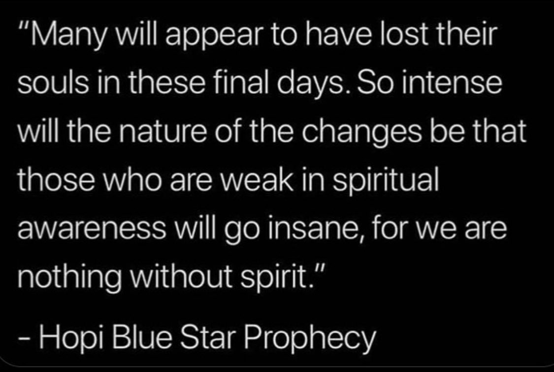 Tonja Elizabeth! tweet media