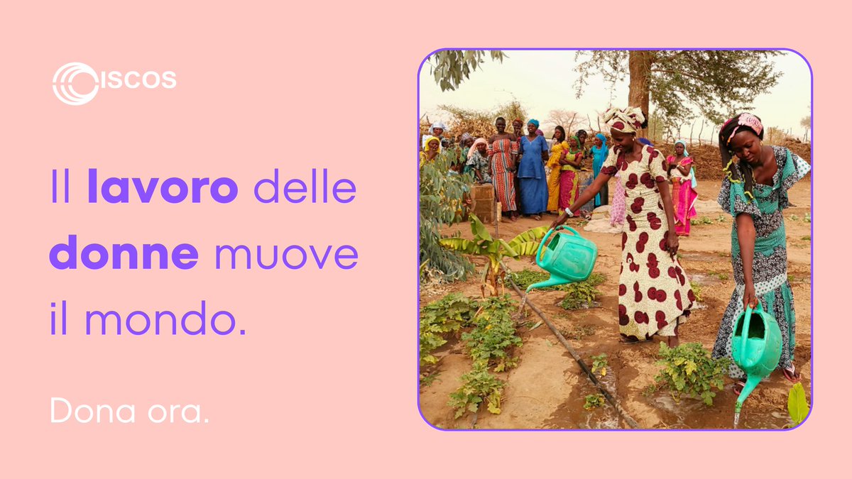 ISCOS ets tweet media