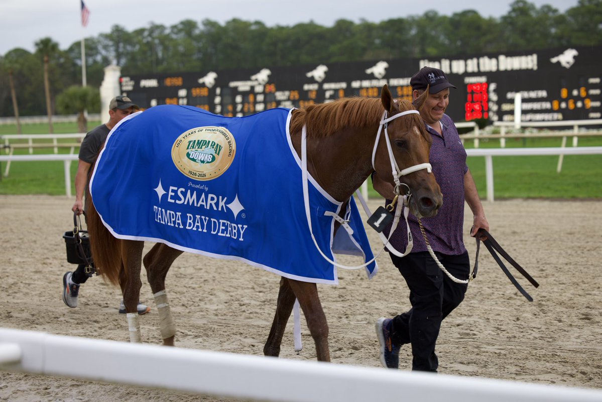 Tampa Bay Downs Official Account tweet media