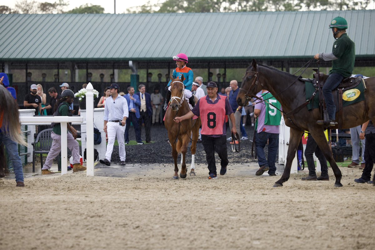 Tampa Bay Downs Official Account tweet media