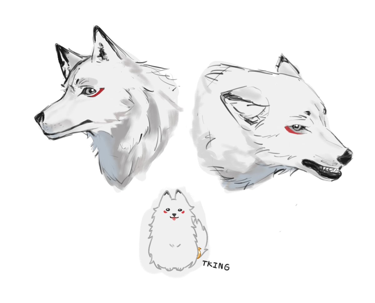 ihavehalfbody's tweet photo. 🐺 https://t.co/XsnYmLrHFJ