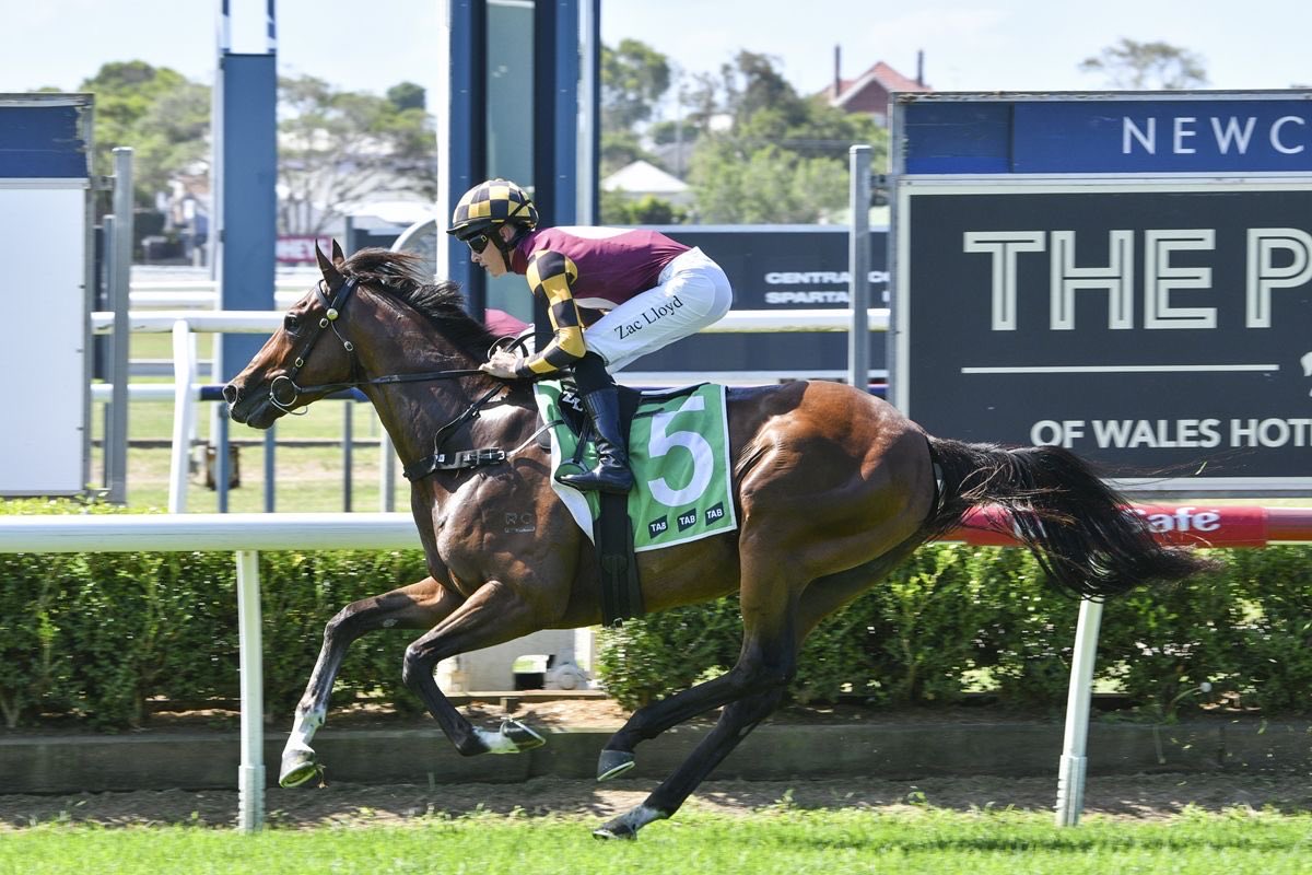 Ible Racing tweet media