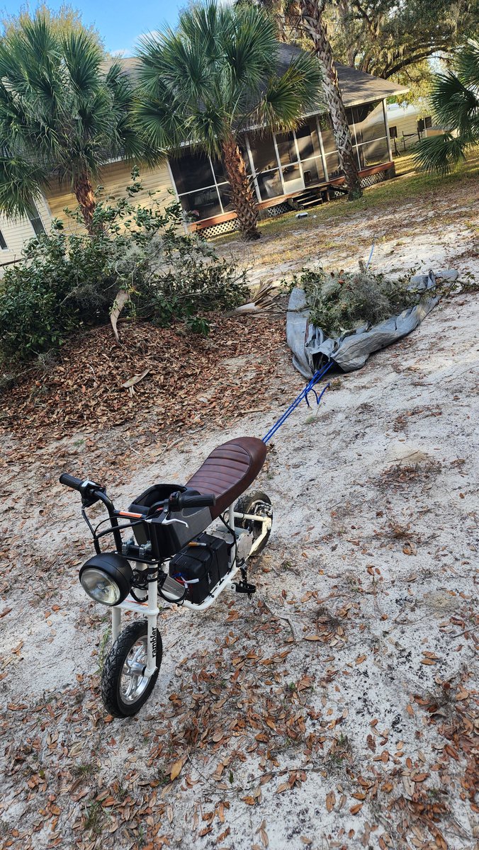 Prophet of Swag 🇺🇸 tweet media