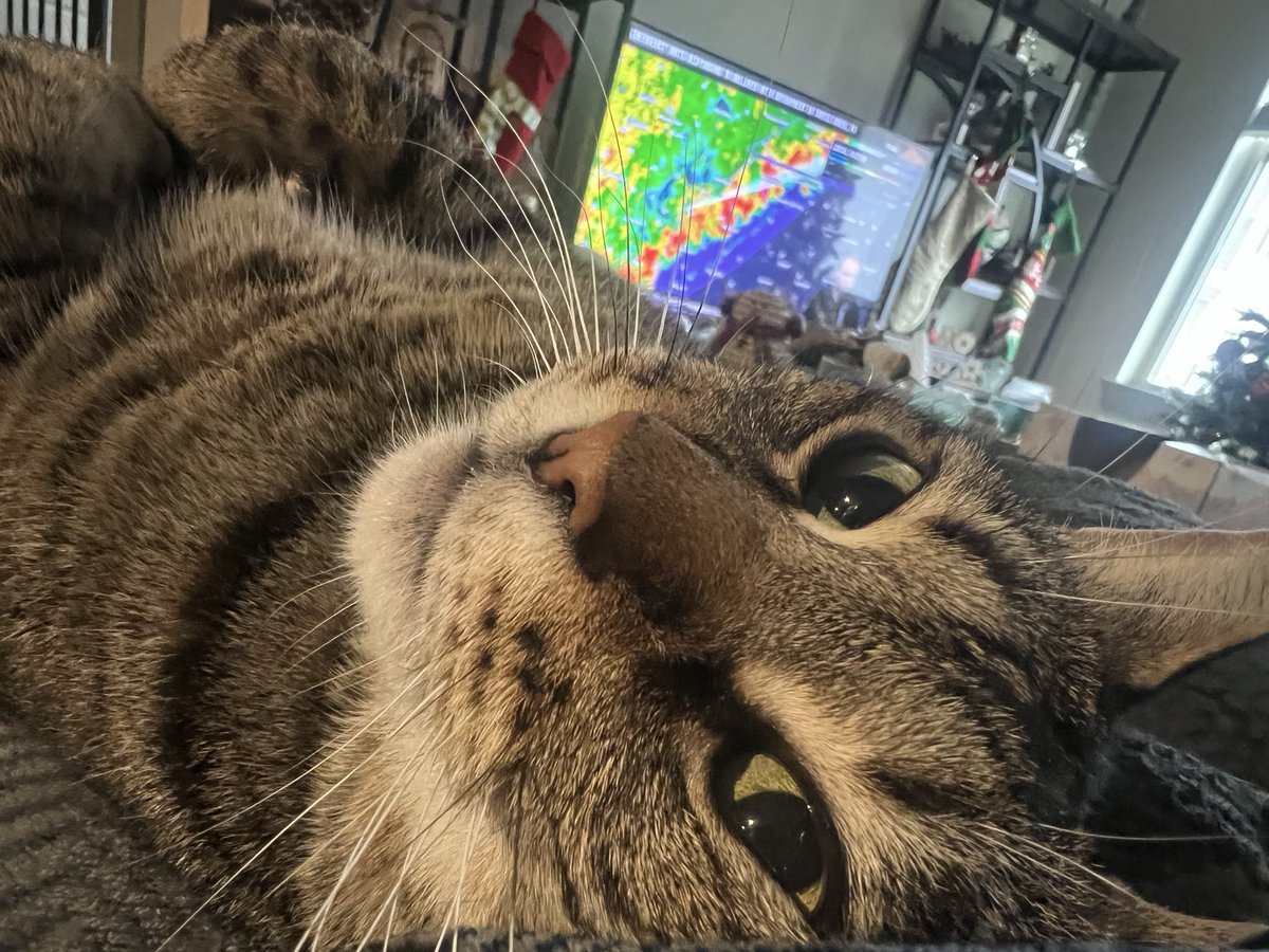 Nico_Day's tweet photo. @ryanhallyall Aspen watching with me &amp; looking at me as if to say “Oh sh** look at that line of storms” https://t.co/IFDbhXam5T