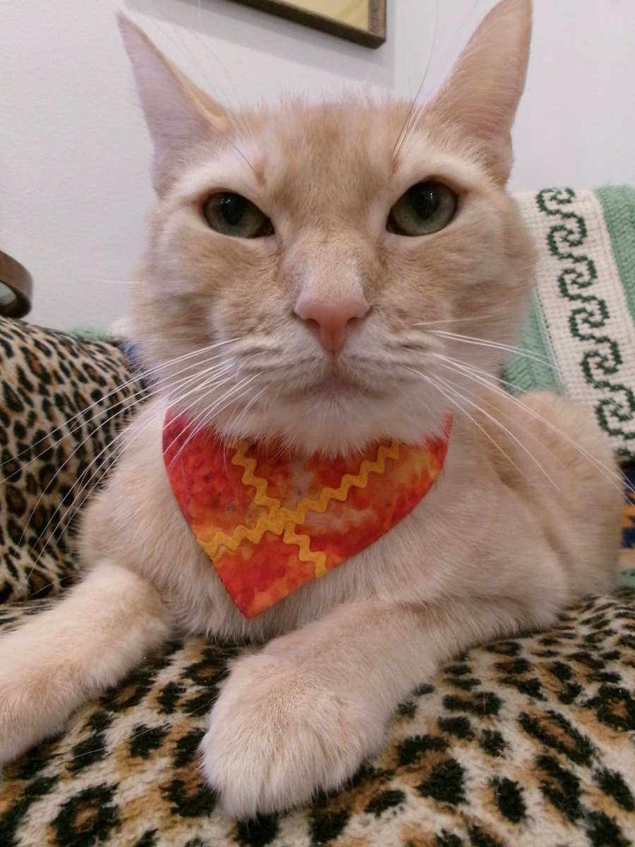 Travis Ford tweet media