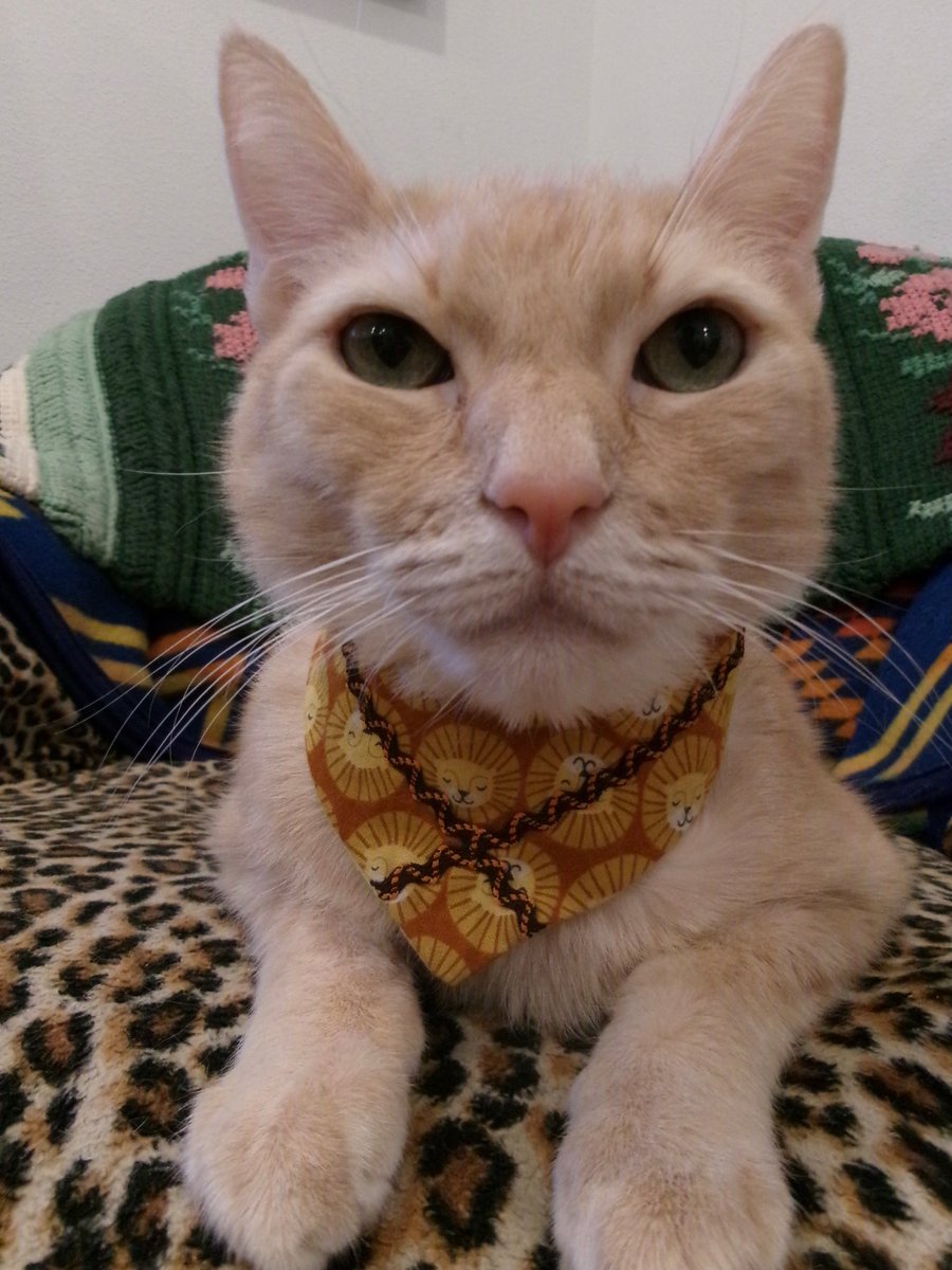 Travis Ford tweet media