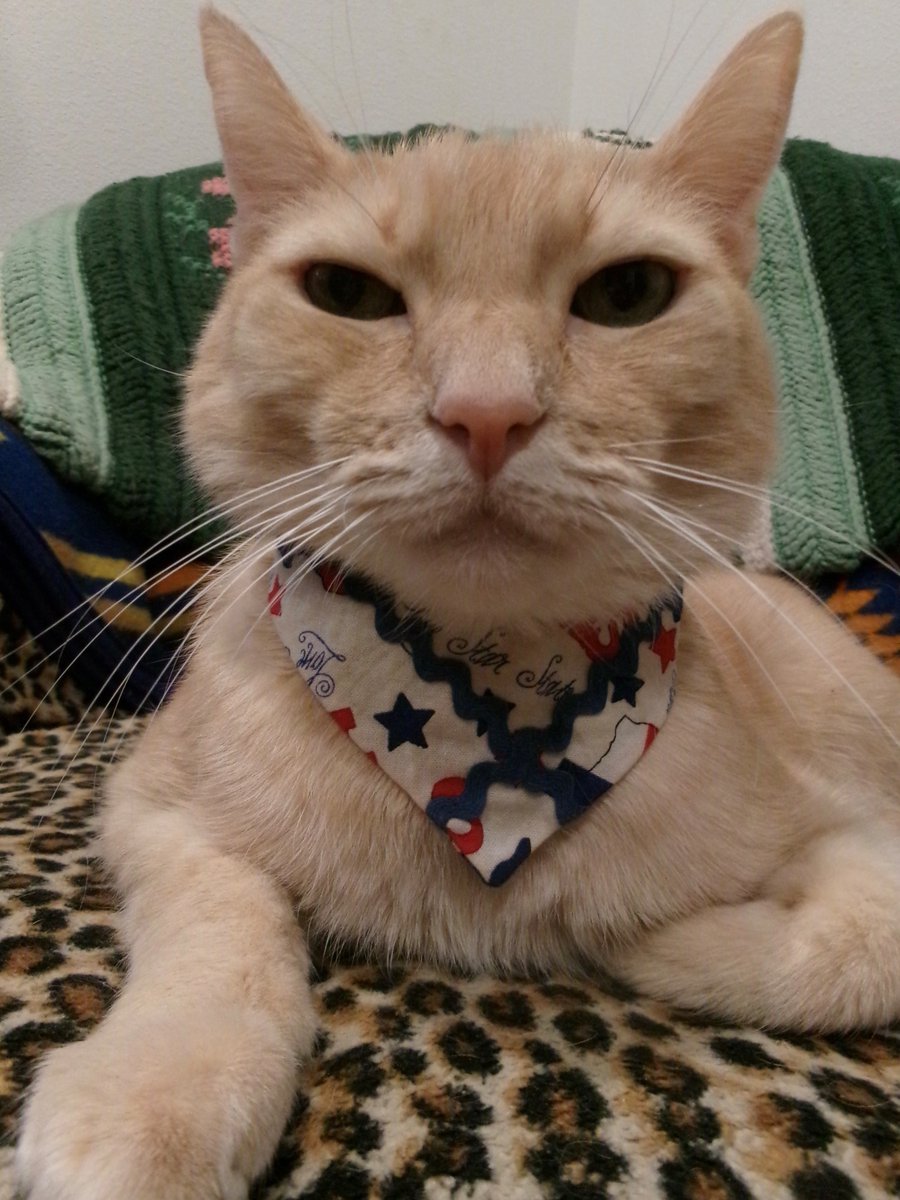 Travis Ford tweet media