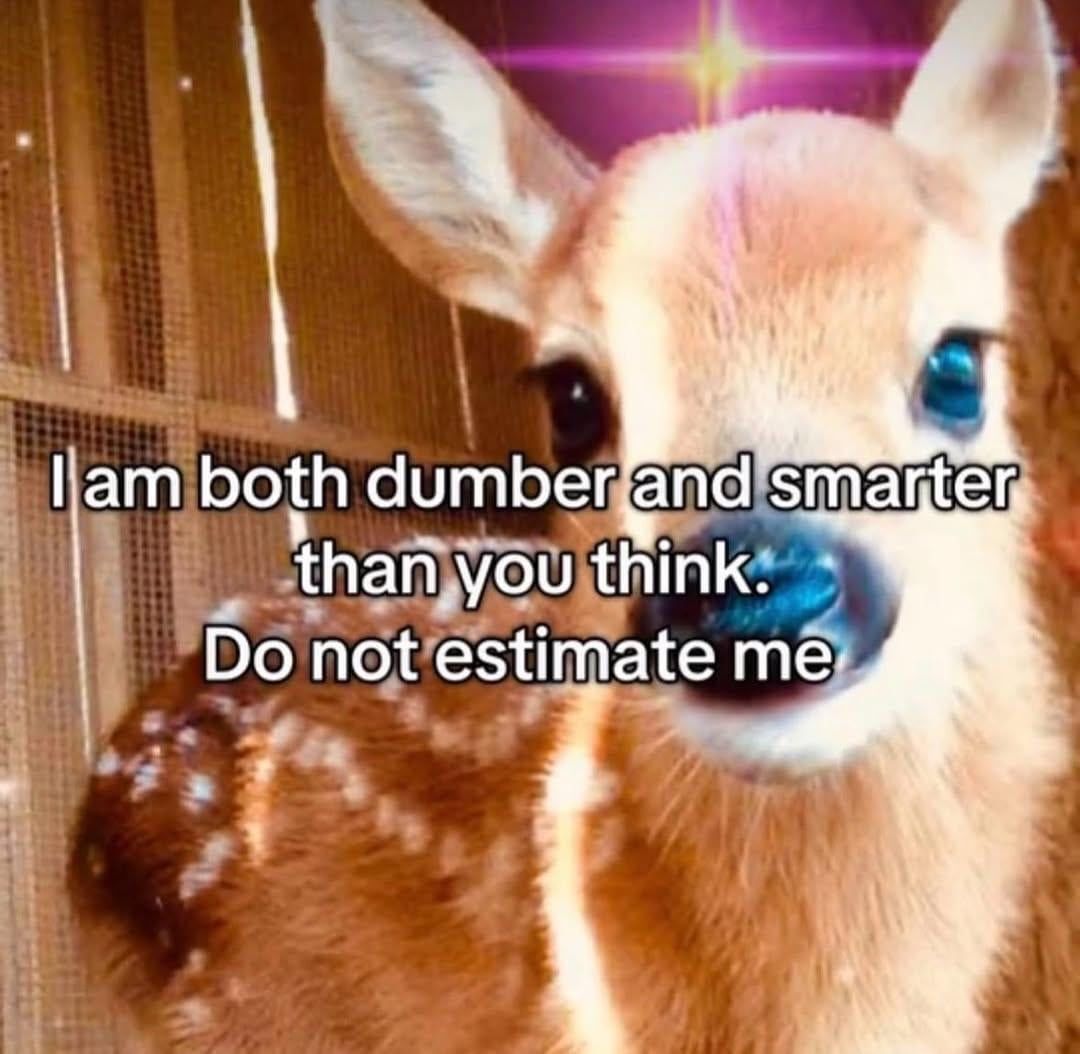 no context memes (@weirddalle) on Twitter photo 