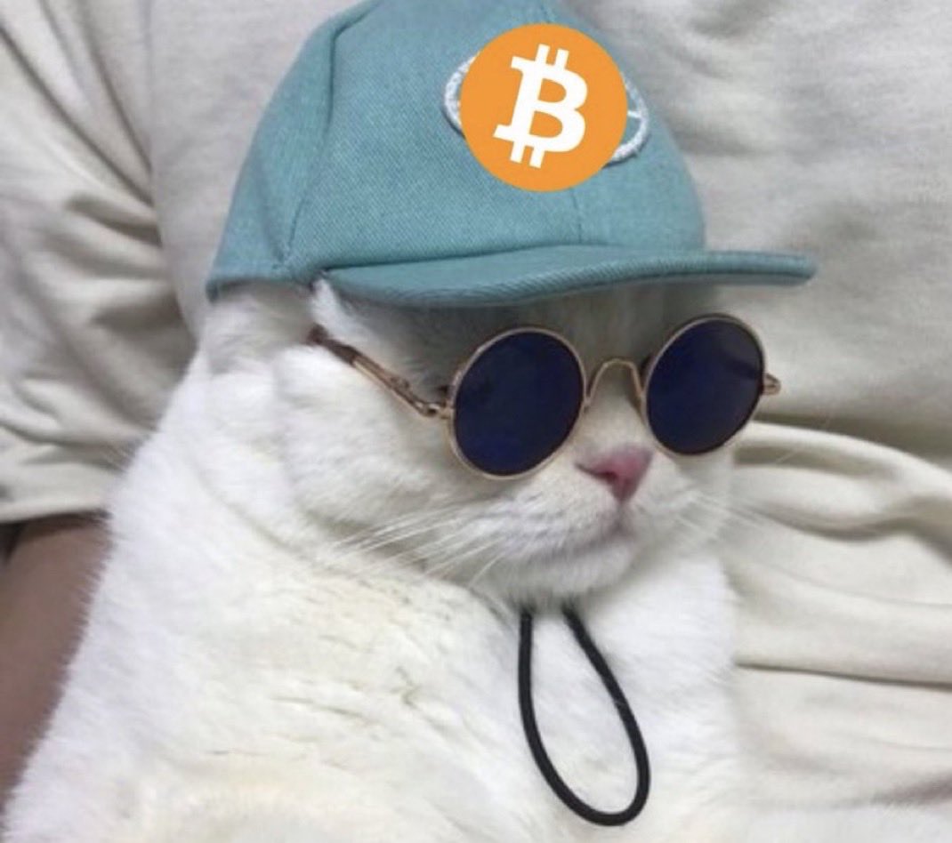 Buy #Bitcoin