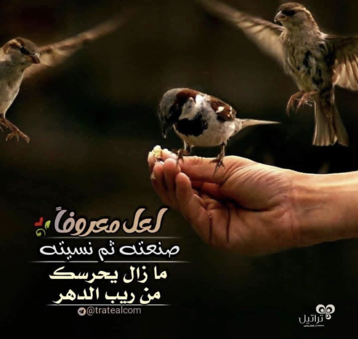 🖇️ `صـدقـات بـدون مـال` : 

- *سقي الماء* 
- *الكلمة الطيبة* 
- *إماطة الأذىٰ*
- *زيارة مريض* 
- *إنظار المعسر* 
- *التسبيح والتهليل*
- *التحميد والتكبير* 
- *ركعتا الضحى* 
- *الأمر بالمعرف والنهي عن المنكر