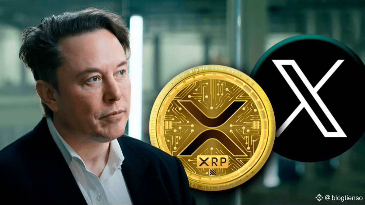 CryptoSensei tweet media