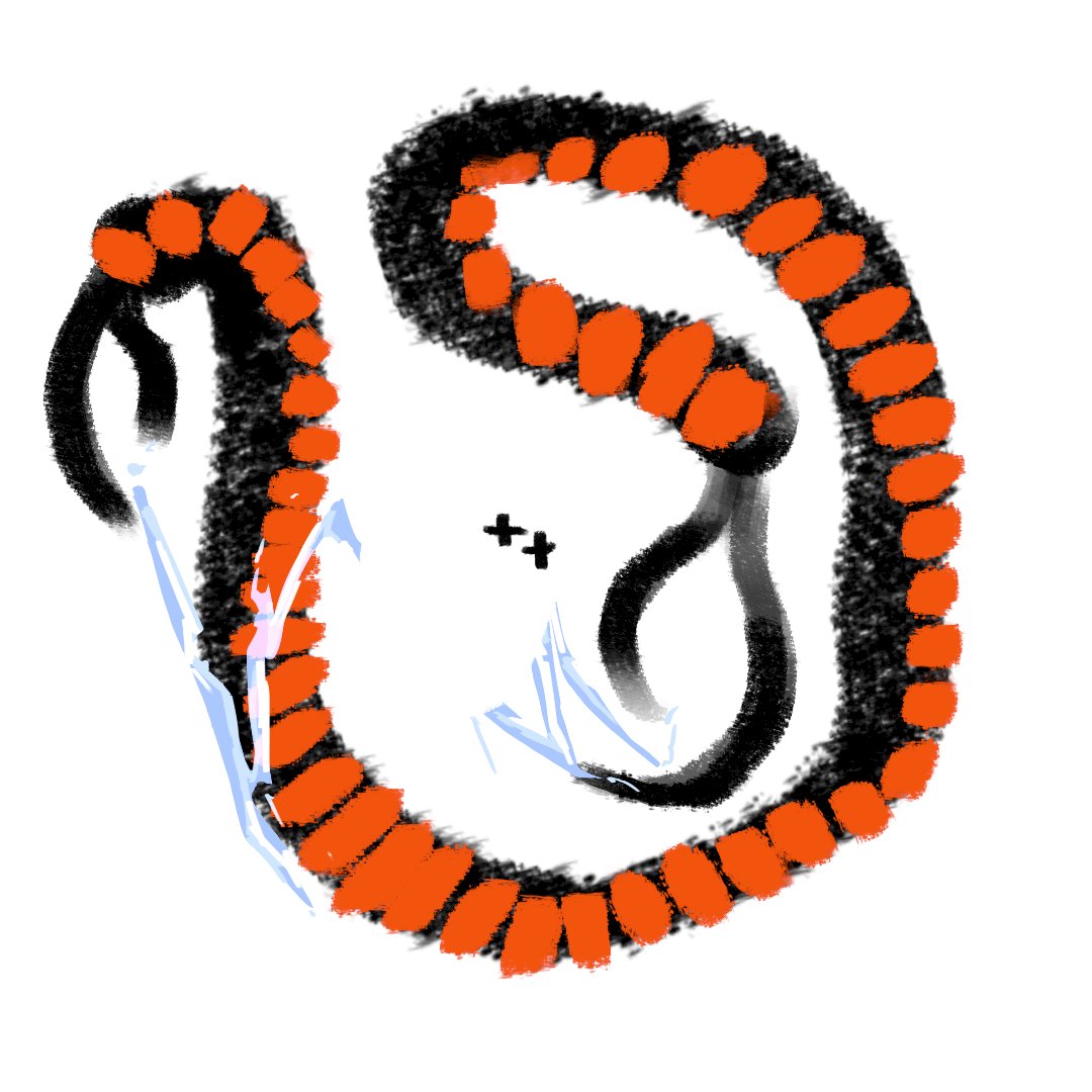 smolcaleb tweet media