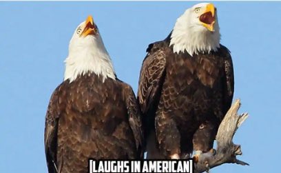 Bitcoin & Stonks tweet media