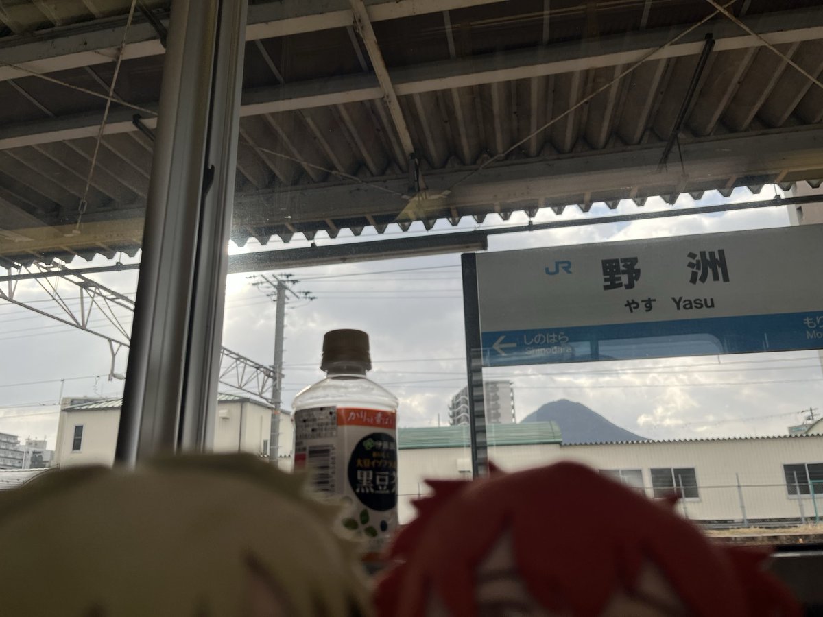 今日は彼らと一緒〜
後ろに写った黒豆茶がいい味出してるわ☺️