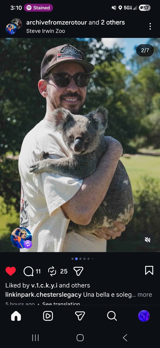 payton (LP's version) tweet media