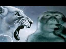 harks IV tweet media