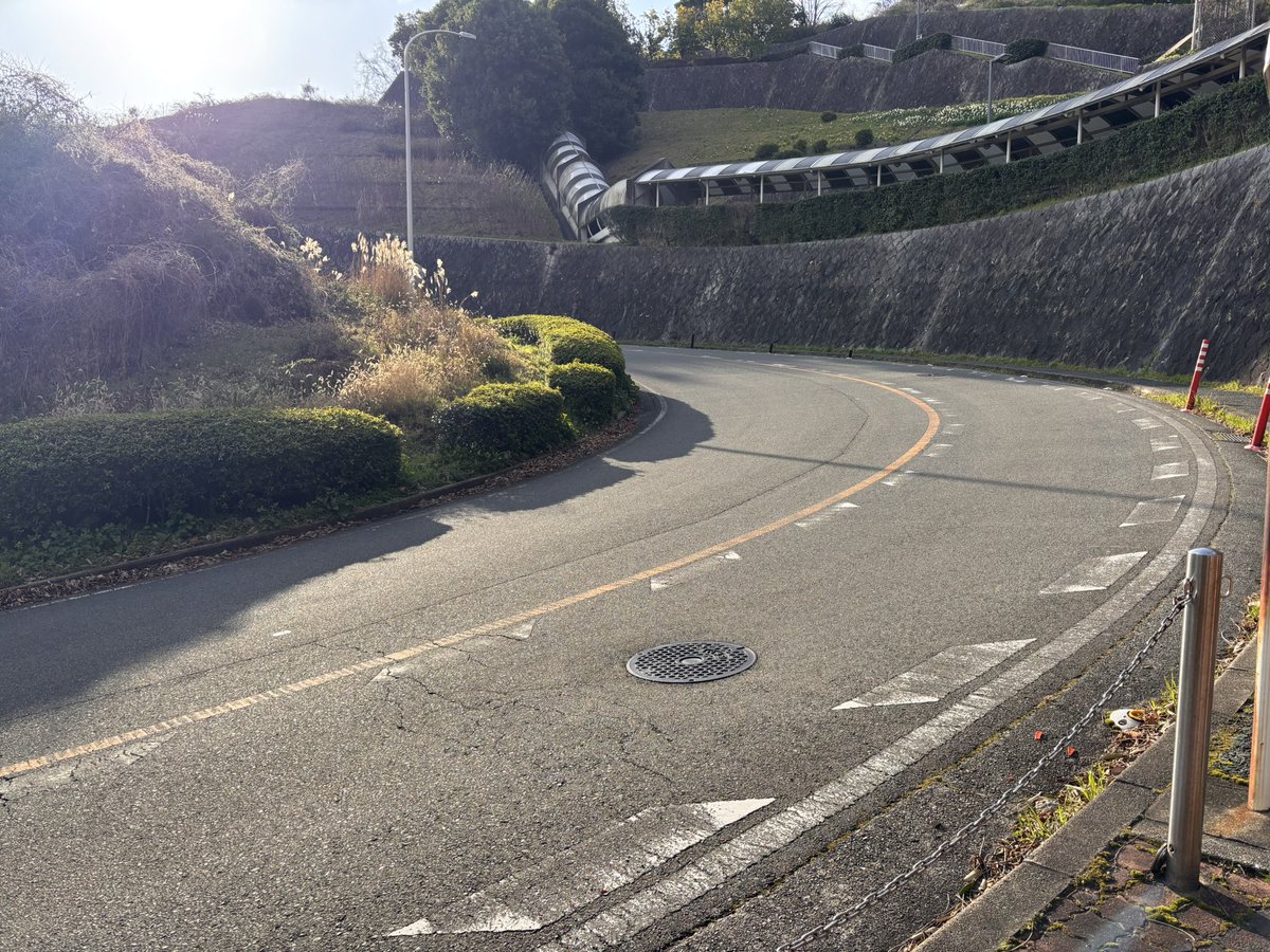 堀越信司 Tadashi Horikoshi 柏原市のランナー tweet media