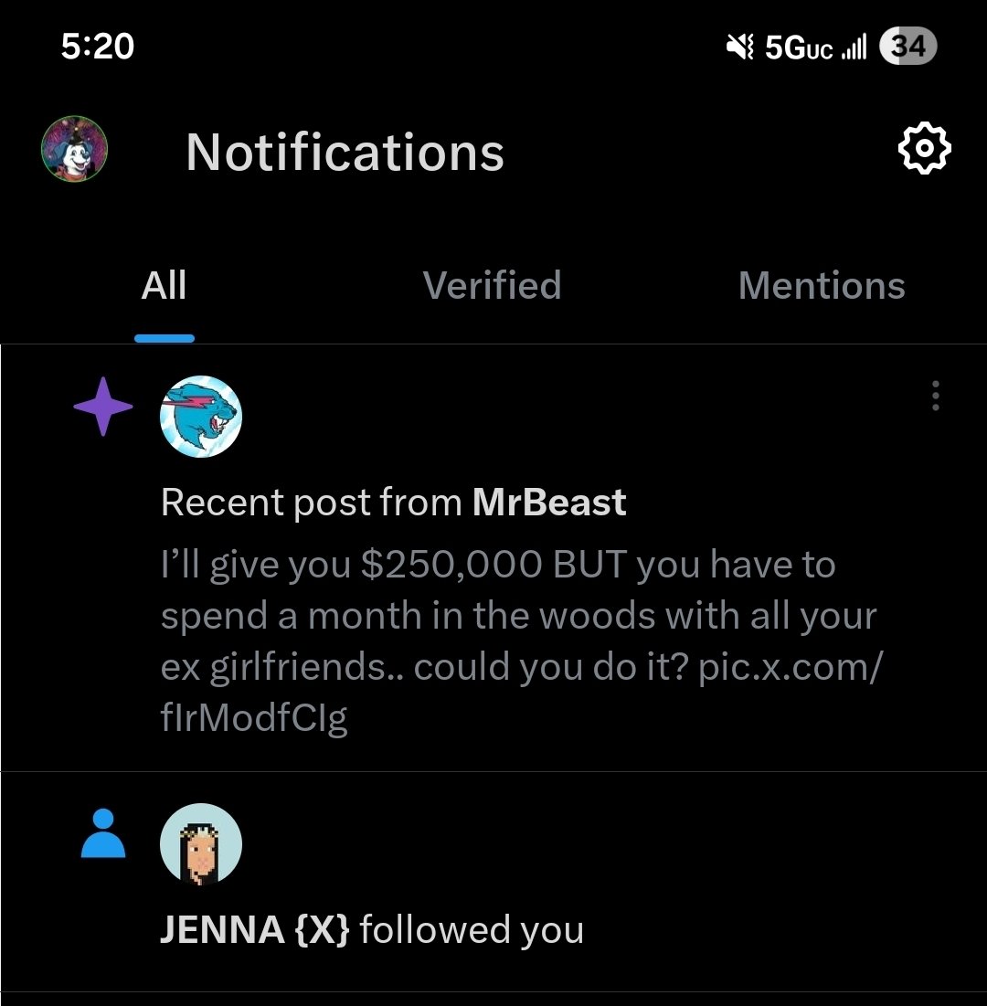 Bingo🚜🐶 tweet media