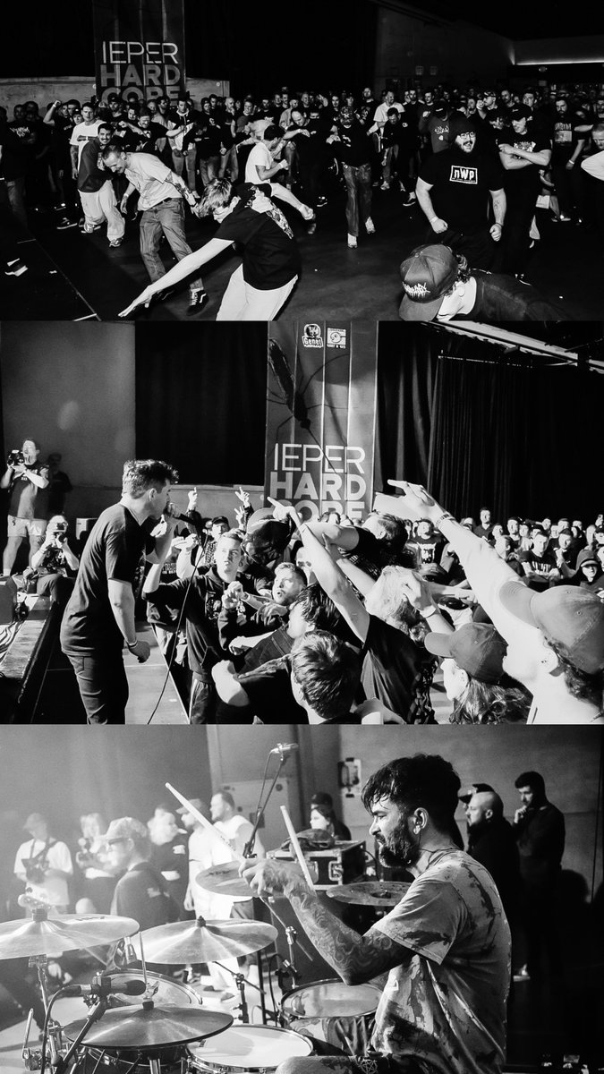 greghall. tweet media