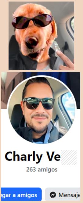 David Gil Vidal tweet media