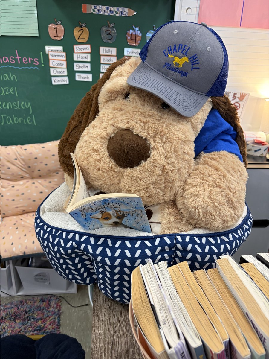 Chapel Hill ES tweet media