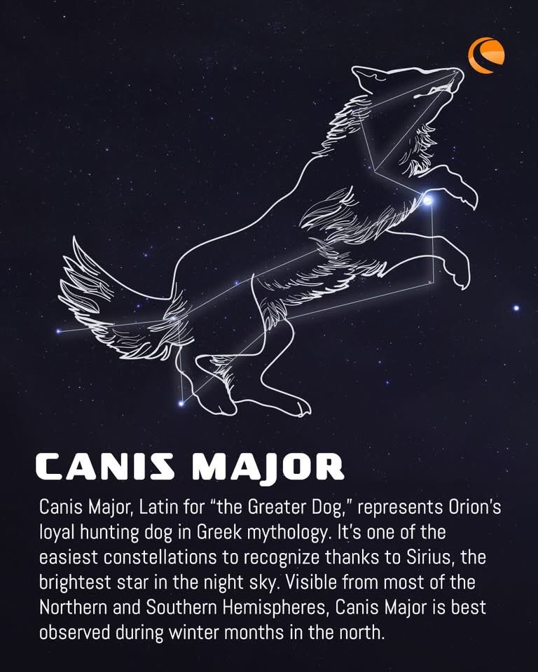 Celestron tweet media