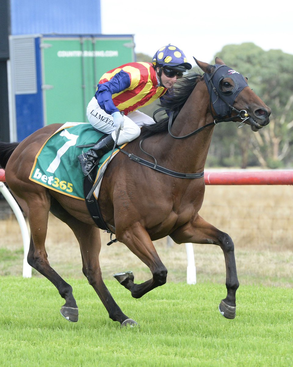 Country Racing tweet media