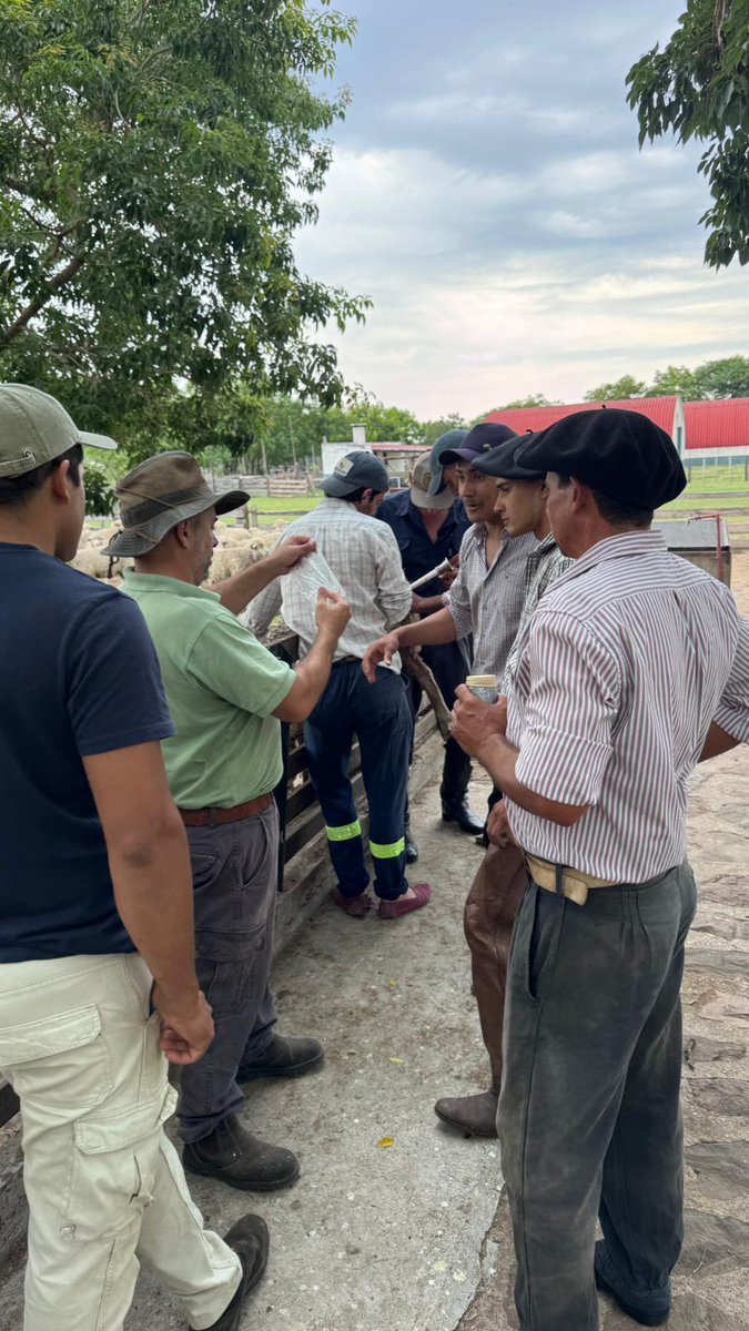 vetGraci's tweet photo. 23° Curso de Inseminación Artificial en Ovinos- @SUL_uy  Fundación Martin Martinicorena @PlanAgro 
Artigas- Paso Farías https://t.co/jTWjXnUMty