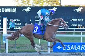 José L. Verenzuela tweet media