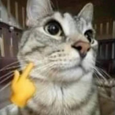 Kelly 🫰🏻🎩 tweet media