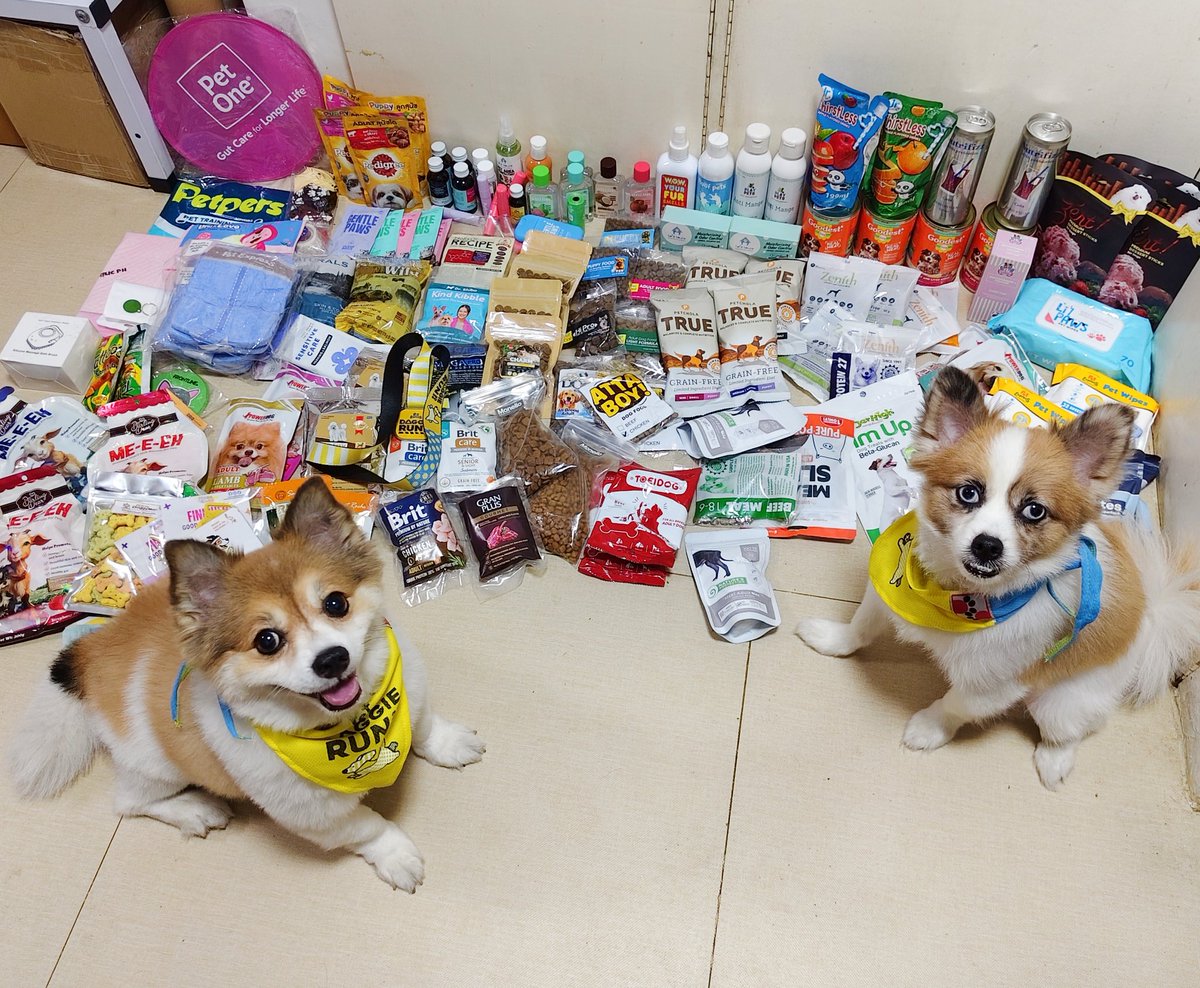 Chimpu | COMMS CLOSED tweet media