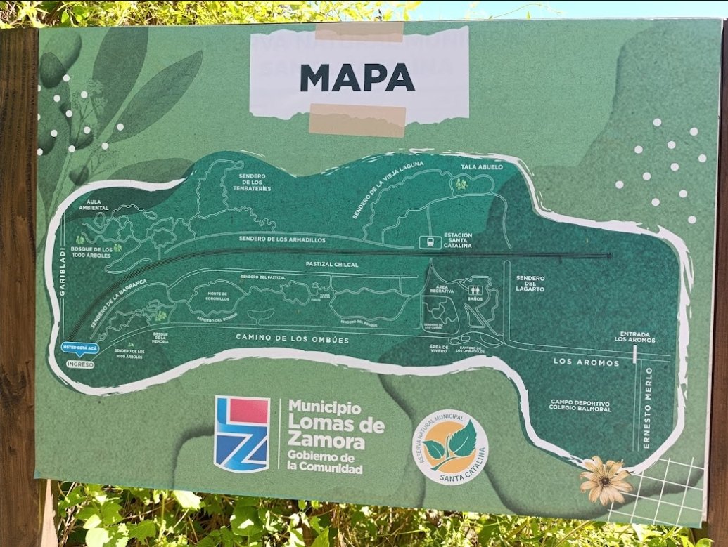 AY TETERA 🇦🇷⭐️⭐️⭐️ tweet media