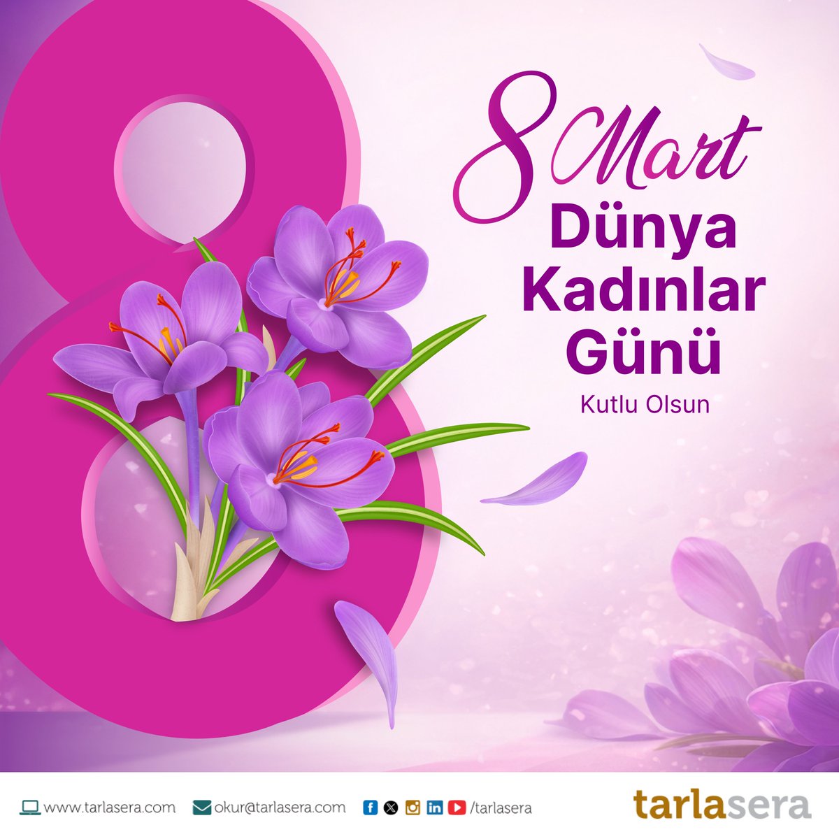 tarlasera tweet media