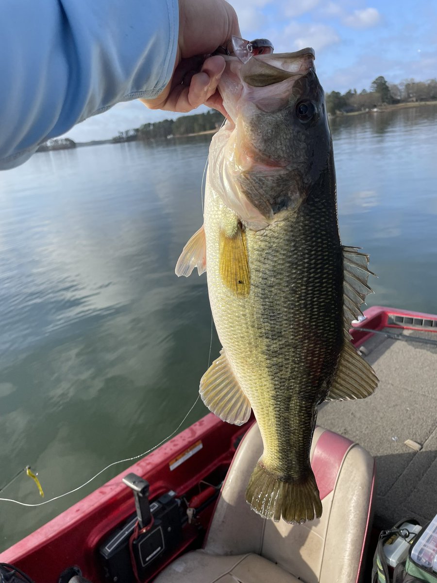 Coach Mark Hodge tweet media