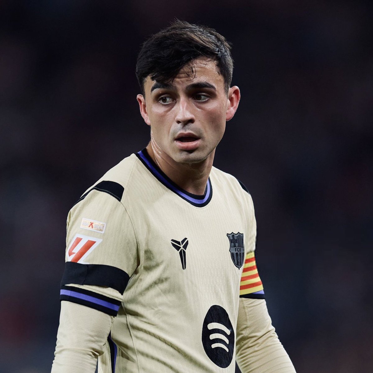 lapaticule tweet media