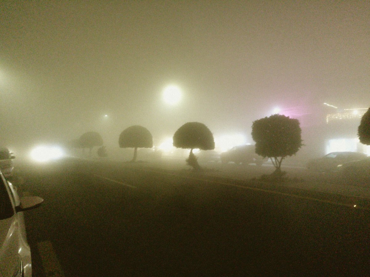 Eng/MOHAMMED.F.ALSHEHRI tweet media