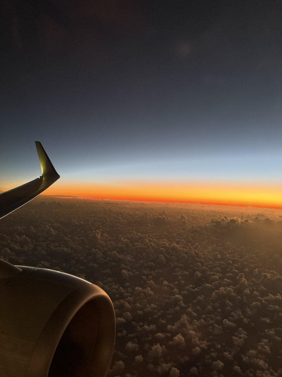 Patrick McCorry 🐋 tweet media