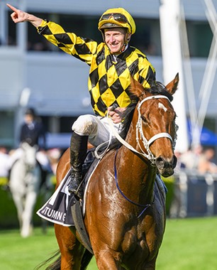 Ladbrokes Cox Plate tweet media