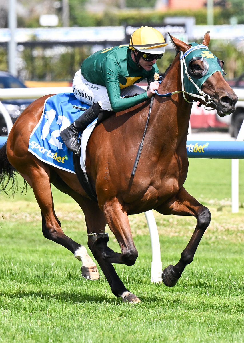 Ladbrokes Cox Plate tweet media