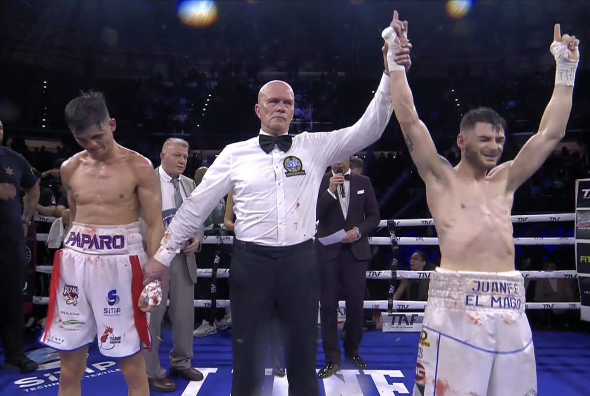 KO BOXING tweet media
