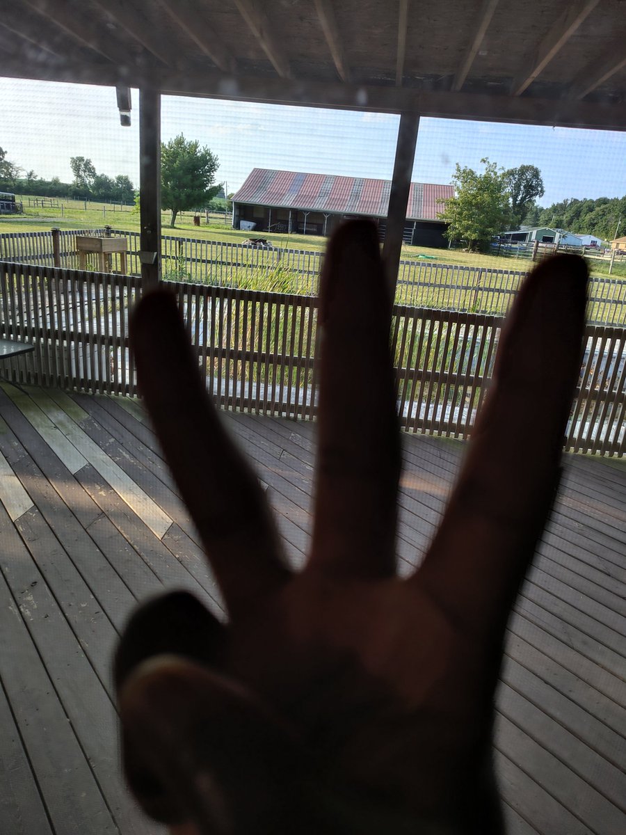 #WatchersEverywhere 
<a href="/DeNetPro/">DeNet</a>

 launching another one