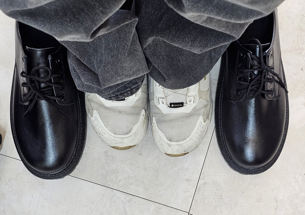 천랑성✦ tweet media