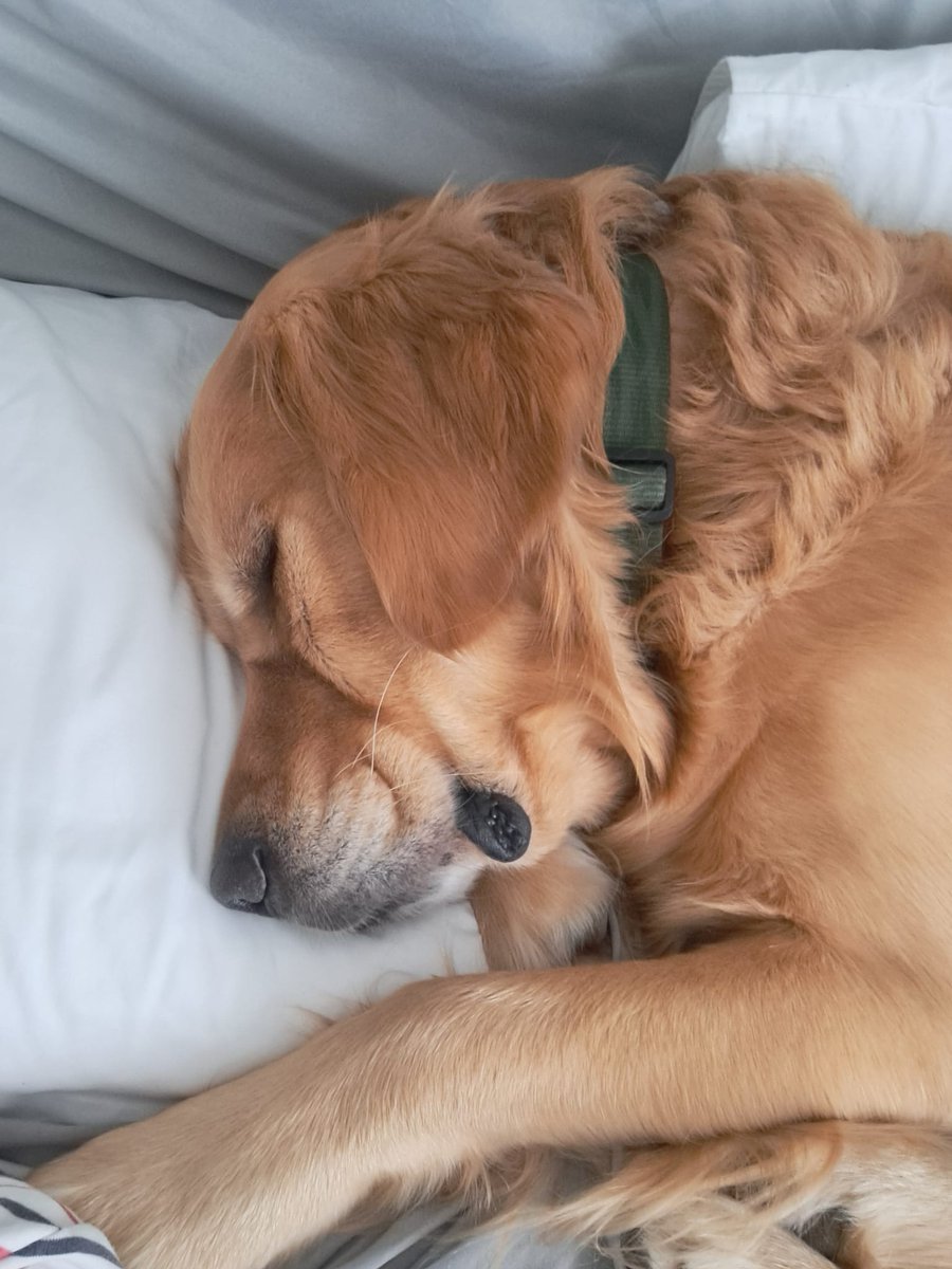 Goodnight💤 little man 🥰