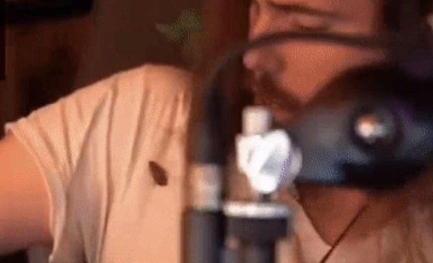 SipSipStefen tweet media