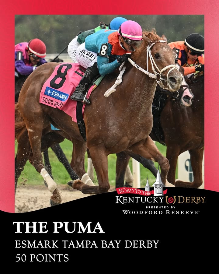 Kentucky Derby tweet media