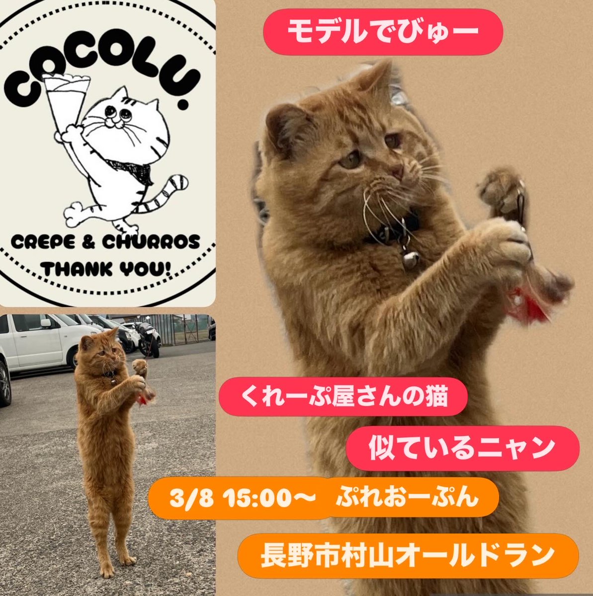 アジ吉くんがモデルとなったクレープ屋さん【cocolu】が、本日3/8 15:00〜プレオープンするよん♪長野市村山オールドラン様駐車場にて♪キッチンカーに遊びに来てね♪アジちゃんも応援に行くかも？！