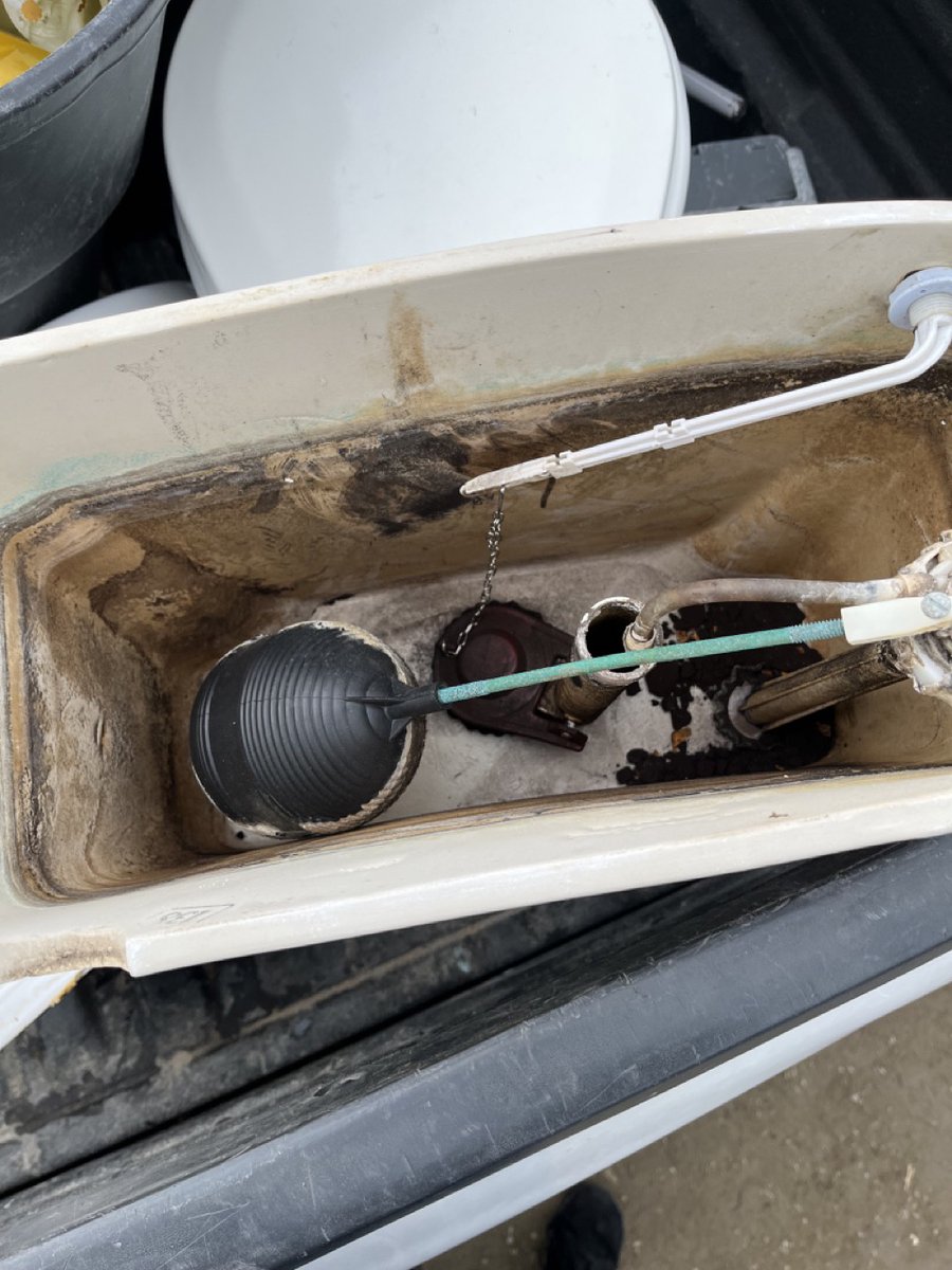 Jared Mielke 🌲 tweet media