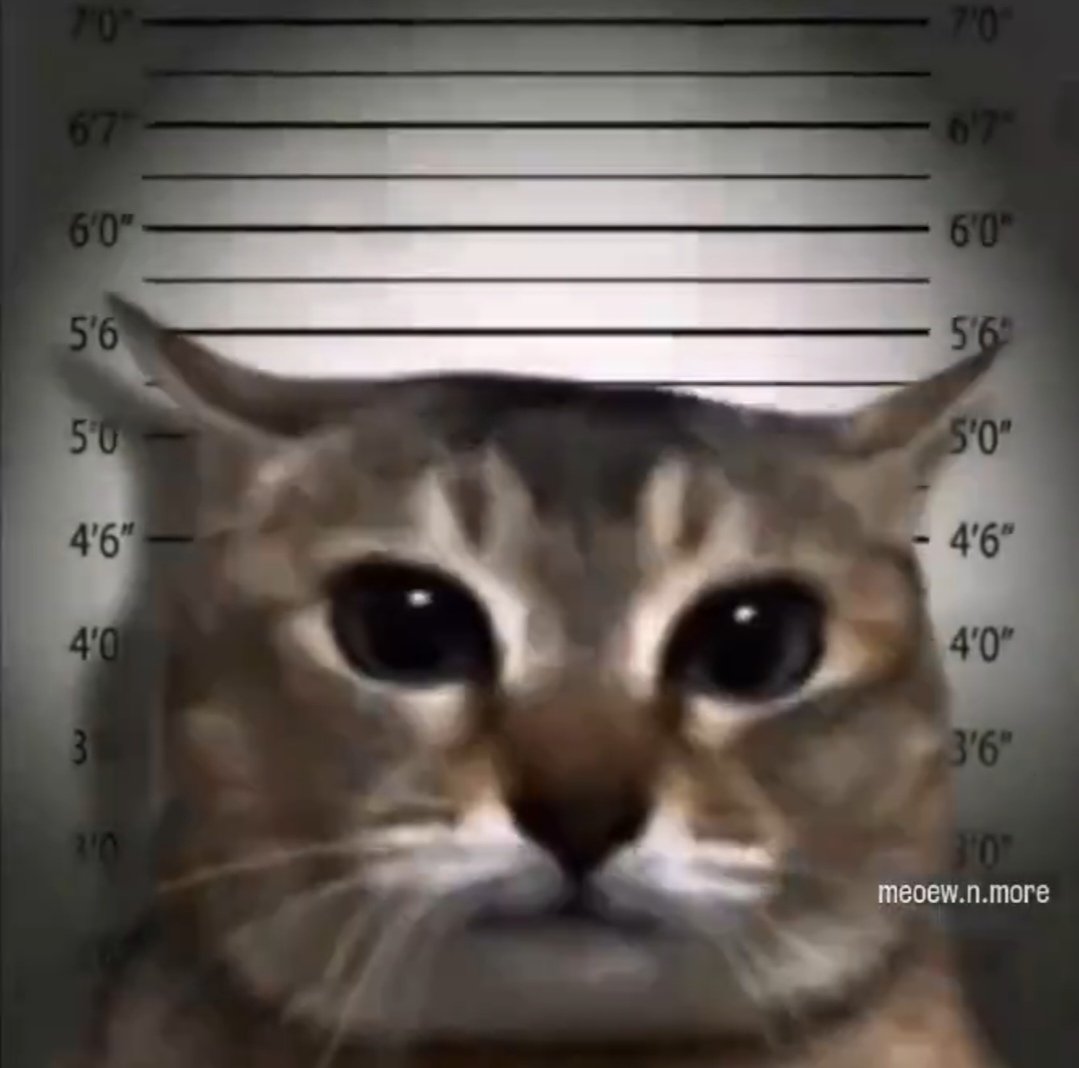 ⋆wano⋆˚ʚɞ tweet media