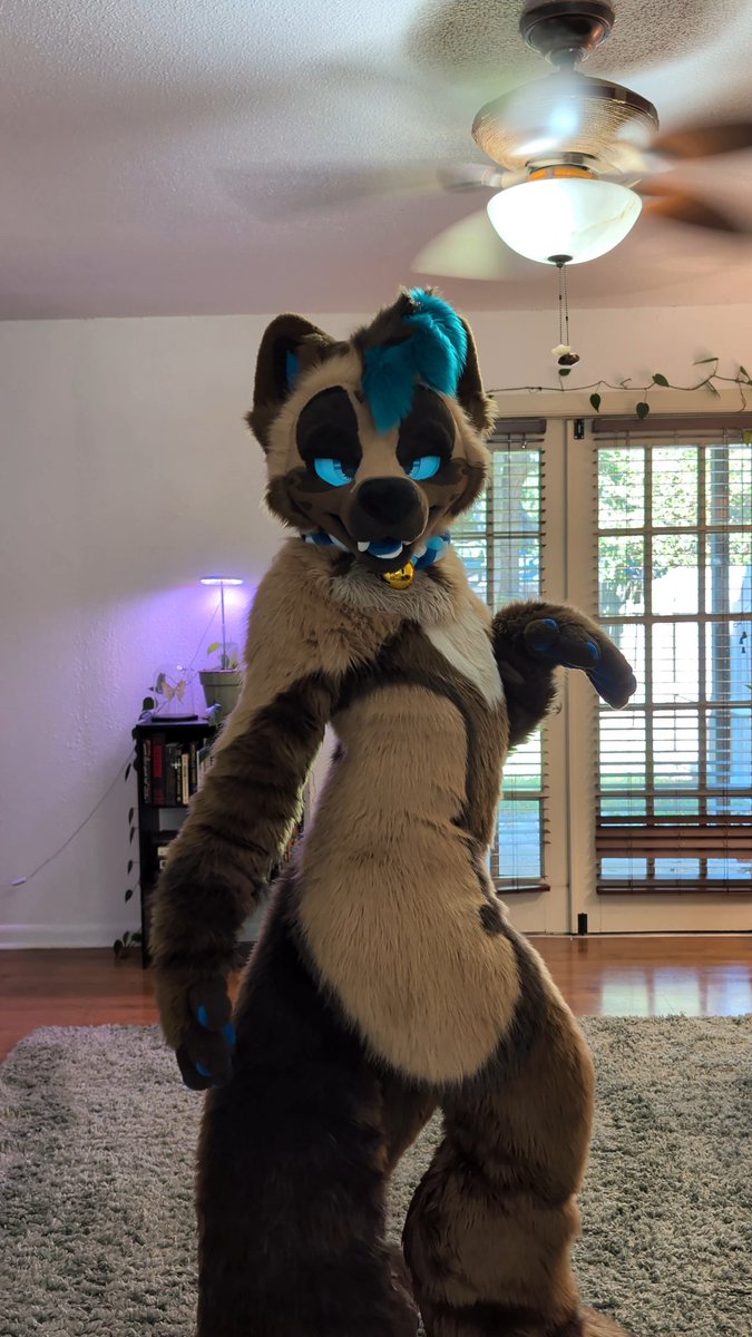 russ 🔜 TFF tweet media