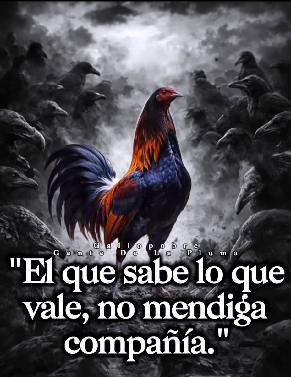 OluMarVas! 🤍 tweet media